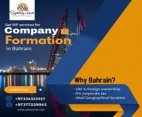 Get VIP services for company formation in Bahrain