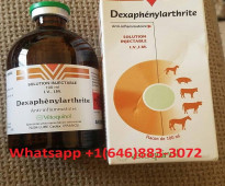 Dexaphenylarthrite For Sale