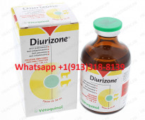 Diurizone Horse Anti-inflammatory