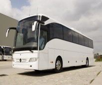 The cheapest tourist transport rental in Egypt