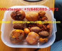 High quality Ox gallstones For Sale