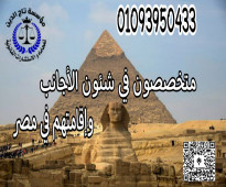 محامي متخصص في اقامات الاجانب في مصر