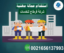 شركة قرطاج للخدمات