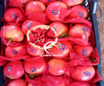 fresh pomegranate