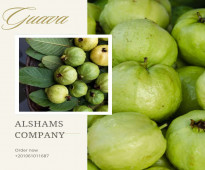 fresh guava