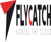 Data Analytics and Migration Services | Saudi | Flycatch