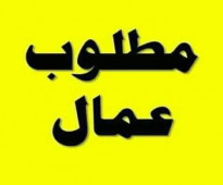 مطلوب عمال تعبئة وتغليف للعمل بمصنع مانجو بالعاشر من رمضان