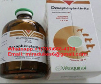 Dexaphenylarthrite 100ml For Horse And Camel