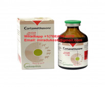 Cortamethasone 50ml Injection For Camels