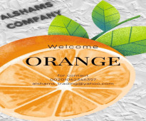 Fresh_Orange