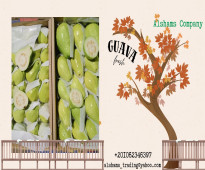 fresh guava