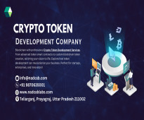 Professional Crypto Token Development Services