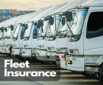 Fleet Insurance UAE Company - insura.ae