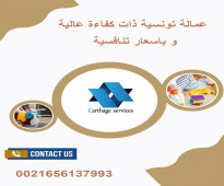 شركة قرطاج للخدمات