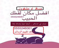 فندقة قطط وقت سفرك 6061 24 0555 حي المصيف